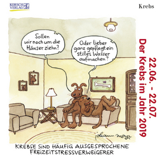 Krebs Mini 249019 2019