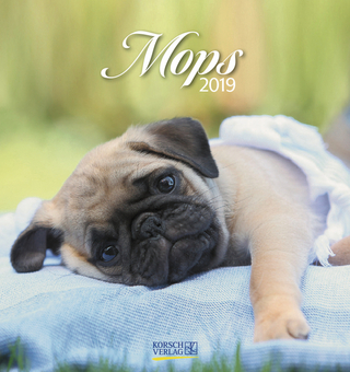 Mops (PK) 234019 2019