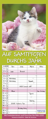 Auf Samtpfoten durch's Jahr 239019 2019