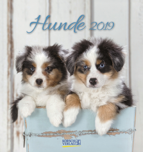 Hunde (PK) 233619 2019
