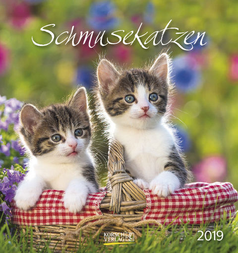 Schmusekatzen (PK) 233719 2019