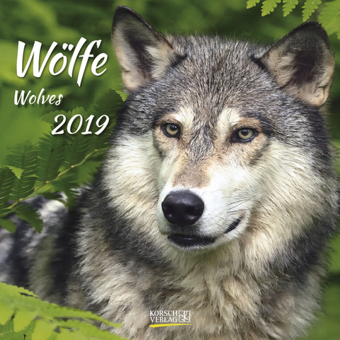 W&ouml;lfe (BK) 228519 2019