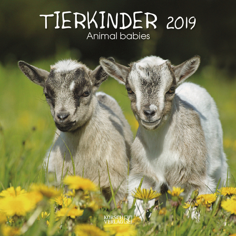 Tierkinder (BK) 226919 2019