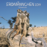 Erdm&auml;nnchen (BK) 226619 2019