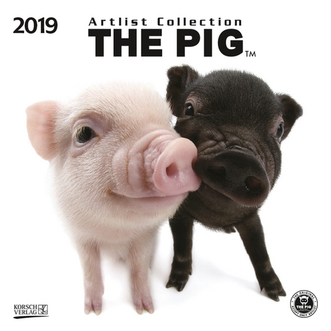 The Pig (BK) 227619 2019