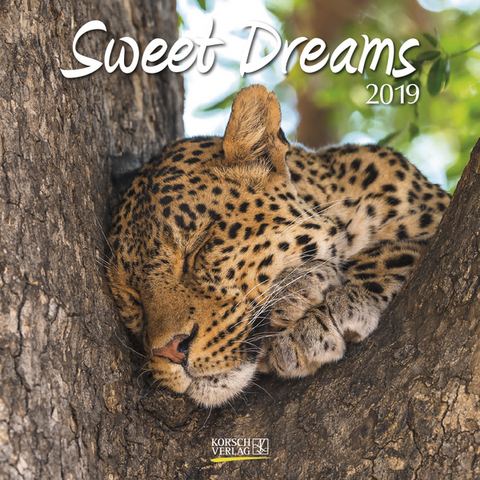 Sweet Dreams (BK) 224019 2019