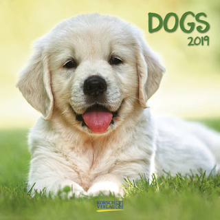 Dogs (BK) 224719 2019