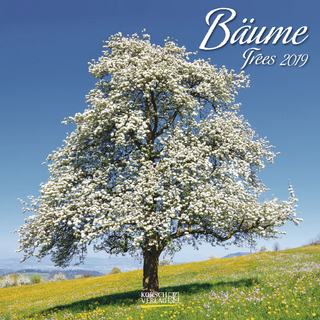 Bäume (BK) 224119 2019