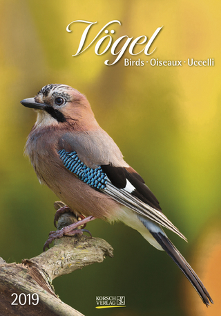 Gr. farbiger Vogelkalender 220119 2019