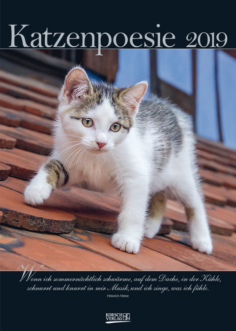 Katzenpoesie 219619 2019