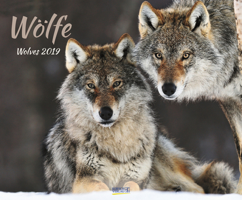 W&ouml;lfe 208919 2019