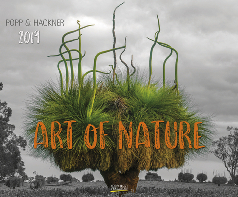 Art of Nature 210719 2019 - 