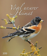 V&ouml;gel unserer Heimat 208819 2019