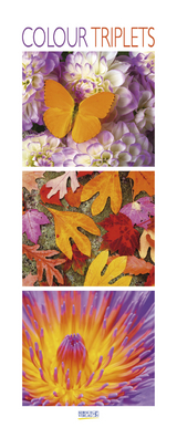 Colour Triplets 206919 2019