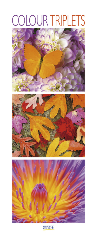 Colour Triplets 206919 2019
