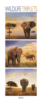 Wildlife Triplets 206819 2019