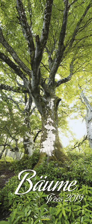 Bäume 207019 2019