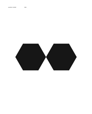 Carsten Nicolai – tele