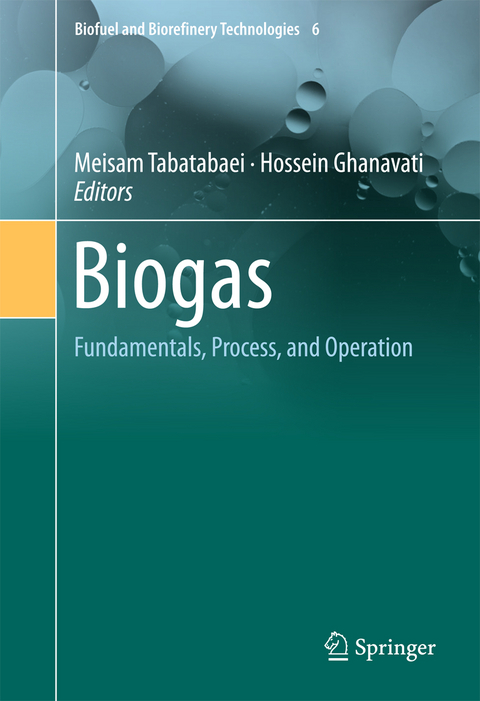 Biogas - 