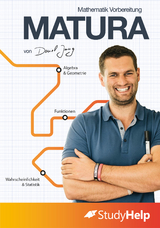Mathe Matura Lernheft - Daniel Jung