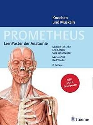 PROMETHEUS LernPoster der Anatomie, Knochen und Muskeln - Michael Sch&uuml;nke, Erik Schulte, Udo Schumacher