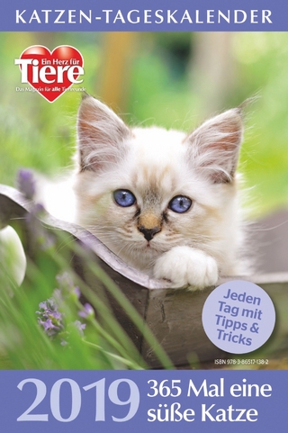 Katzen-Tageskalender 2019