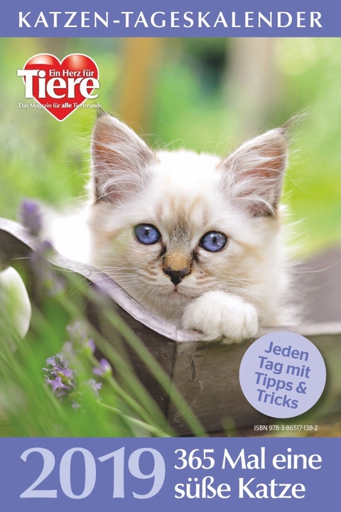 Katzen-Tageskalender 2019
