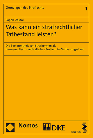 Was kann ein strafrechtlicher Tatbestand leisten?