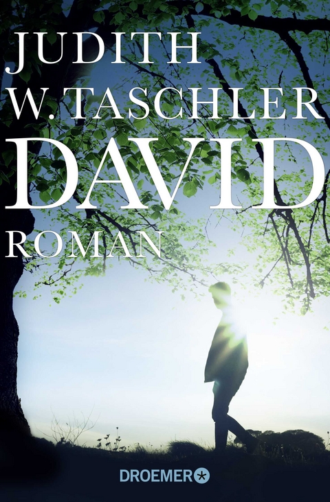 David - Judith W. Taschler
