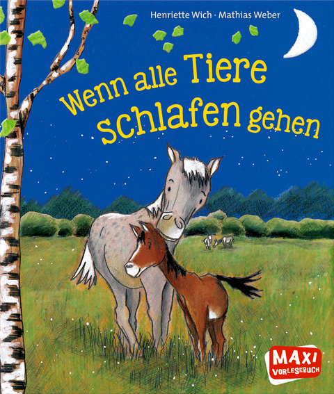 Wenn alle Tiere schlafen gehen - Henriette Wich