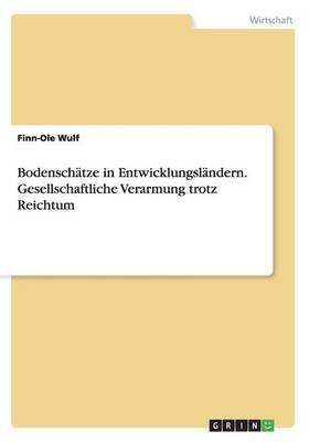 Bodensch&Atilde;&curren;tze in Entwicklungsl&Atilde;&curren;ndern. Gesellschaftliche Verarmung trotz Reichtum - Finn-Ole Wulf