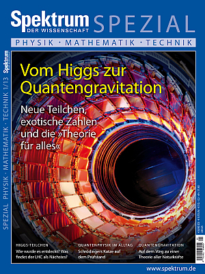 Vom Higgs zur Quantengravitation