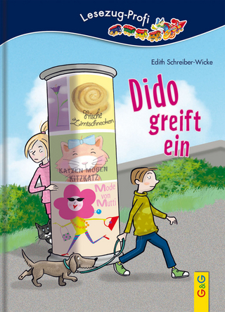 LESEZUG/Profi: Dido greift ein
