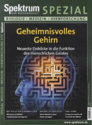 Geheimnisvolles Gehirn