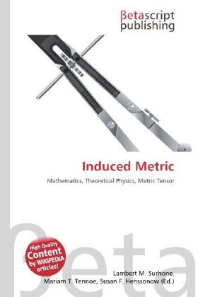 Induced Metric