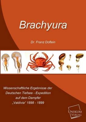 Brachyura - Franz Doflein