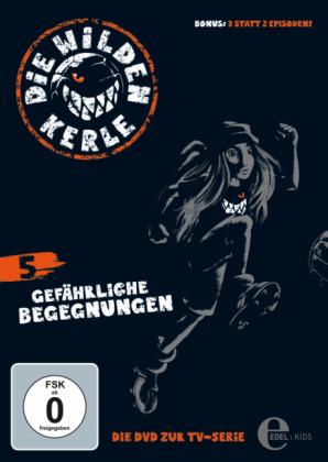 Die Wilden Kerle - Gefährliche Begegnungen, 1 DVD