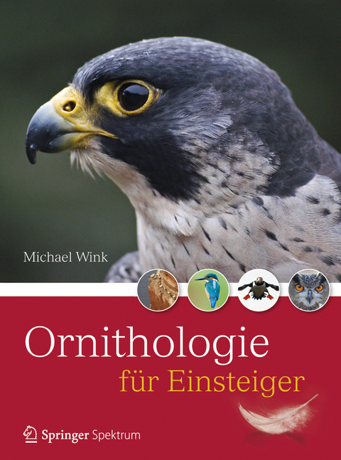 Ornithologie f&uuml;r Einsteiger - Michael Wink