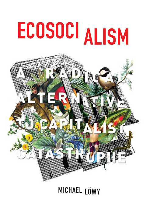 Ecosocialism - Michael L&ouml;wy