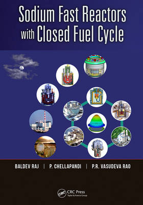 Sodium Fast Reactors with Closed Fuel Cycle -  P. Chellapandi,  Baldev Raj,  P.R. Vasudeva Rao