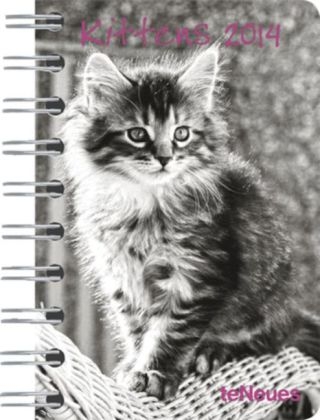 Kittens, Taschenkalender 2014