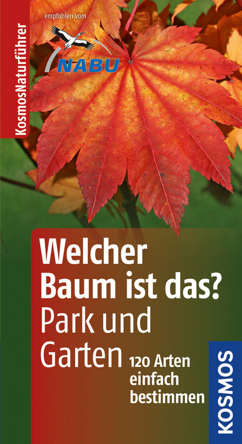 Welcher Baum ist das? in Park und Garten - Margot Spohn