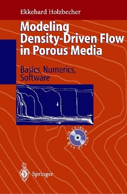Modeling Density-Driven Flow in Porous Media - Ekkehard O. Holzbecher