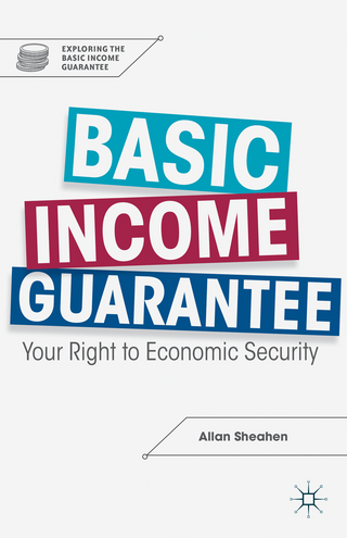 Basic Income Guarantee