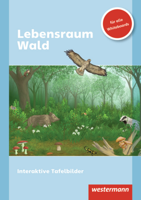 Lebensraum Wald - Julia Teetz
