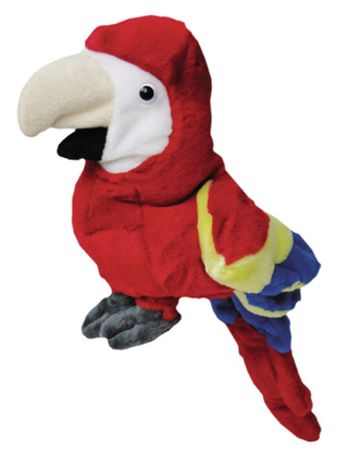 Camden Market Junior