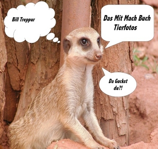 Das Mit Mach Buch Tierfotos