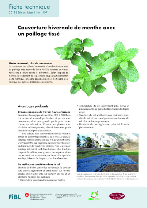 Couverture hinvernale de menthe avec un paillage tiss&eacute; - Claude-Alain Carron, Martin Koller, Massimo Plaschy, Catherine Baroffio, Lukas Studer