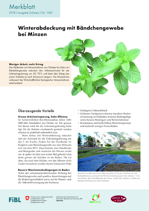 Winterabdeckung mit Bändchengewebe bei Minzen - Martin Koller, Massimo Plaschy, Claude-Alain Carron, Catherine Baroffio, Lukas Studer