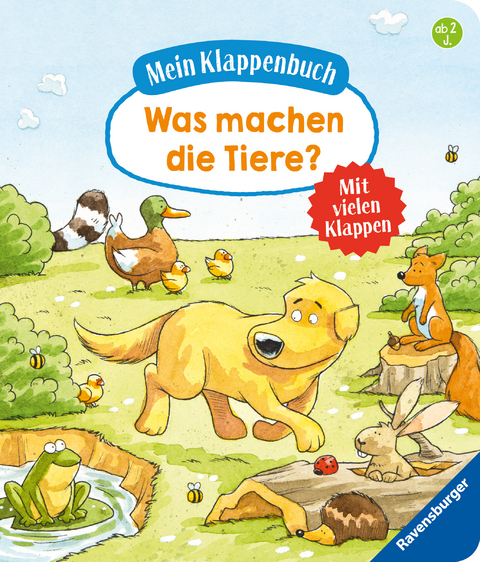 Mein Klappenbuch: Was machen die Tiere? - Susanne Gernh&auml;user